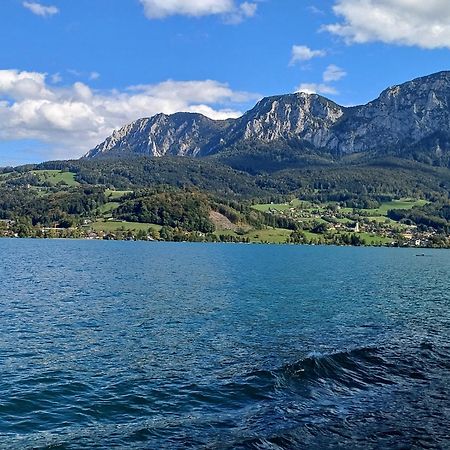 Ferienwohnung Claudia Mit Terrasse Nussdorf am Attersee Dış mekan fotoğraf